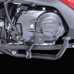 Air-cooled, SOHC 2 Valve, Euro 3 engine.