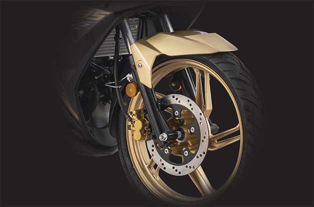 Large brake disk in its class with 250mm diameter.